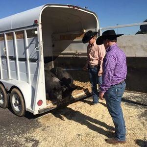 Meet your Posher, Garrett